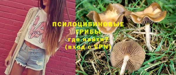 таблы Надым