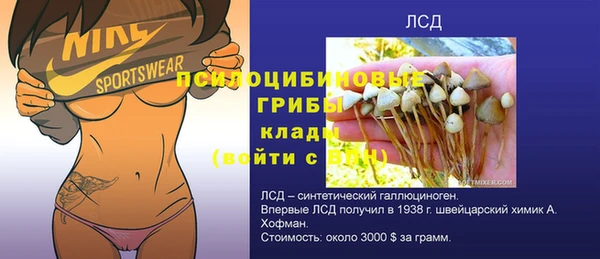таблы Надым